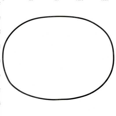Picture of O-Ring