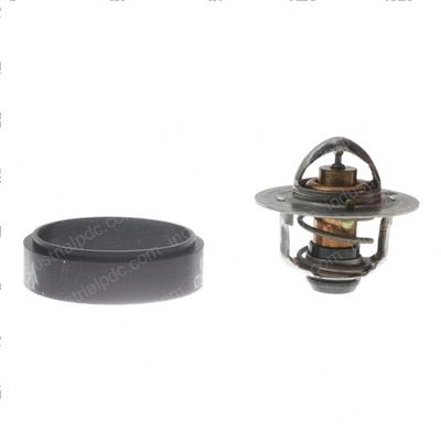 Picture of Thermostat Kit