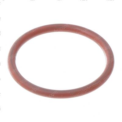Picture of O-Ring