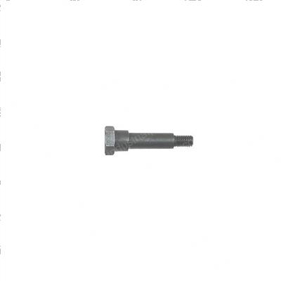 Picture of Screw
