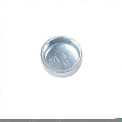 Picture of Plug - Expansion