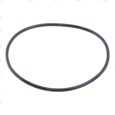 Picture of O-Ring