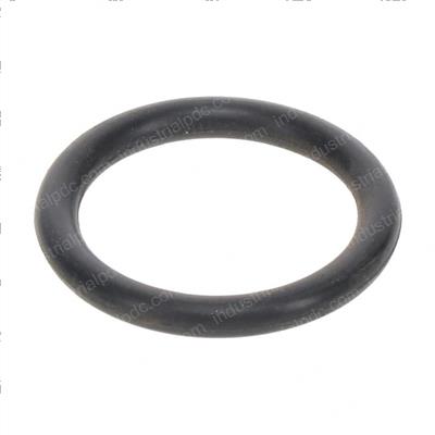 Picture of O-Ring