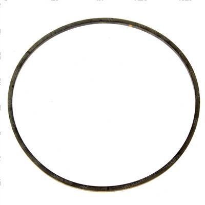 Picture of Seal