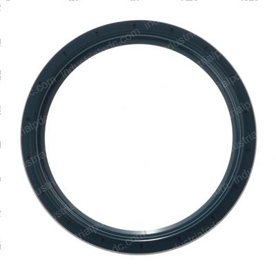Picture of Seal