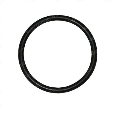Picture of O-Ring