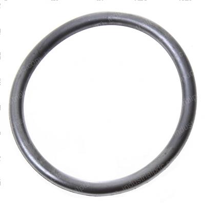 Picture of O-Ring