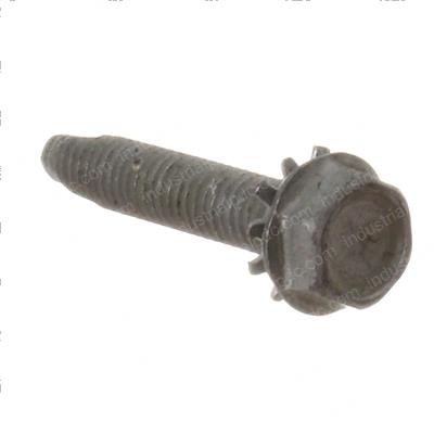 Picture of Bolt/Screw