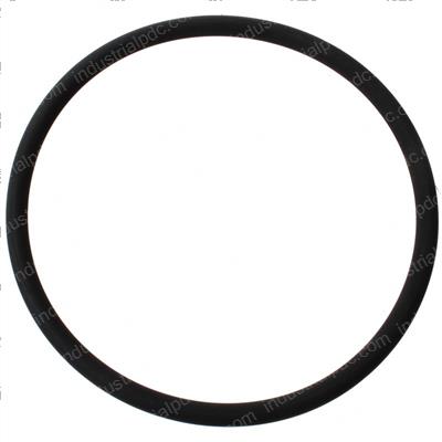Picture of O-Ring