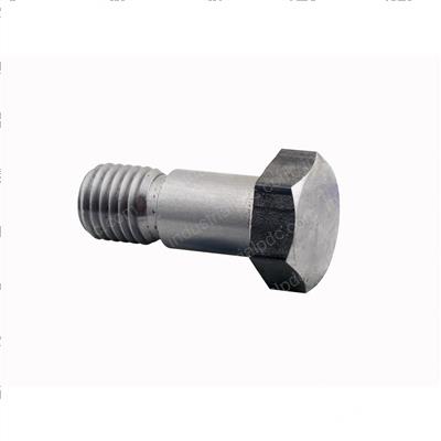Picture of Bolt