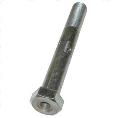 Picture of Bolt