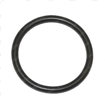 Picture of O-Ring