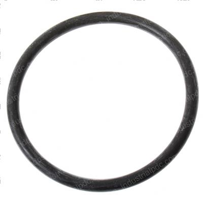 Picture of O-Ring