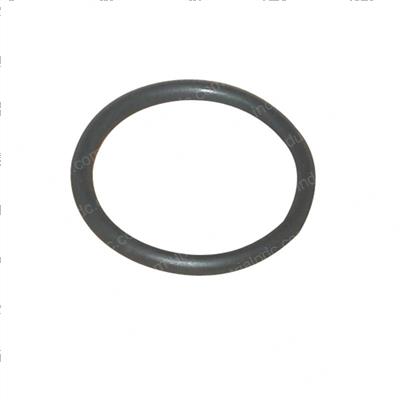 Picture of O-Ring