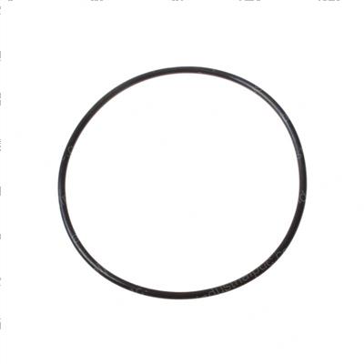 Picture of O-Ring
