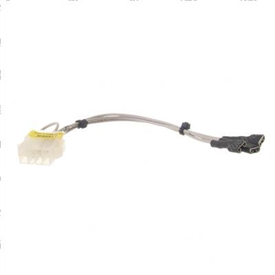 Picture of Wiring Harness
