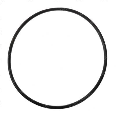 Picture of O-Ring