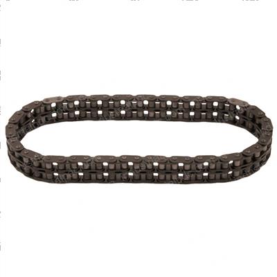 Picture of Chain - Timing