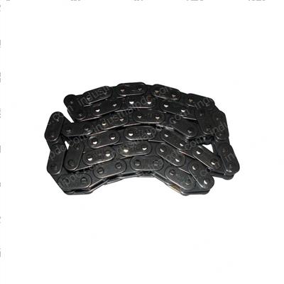 Picture of Chain - Timing