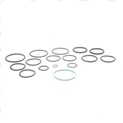 Picture of O-Ring Kit