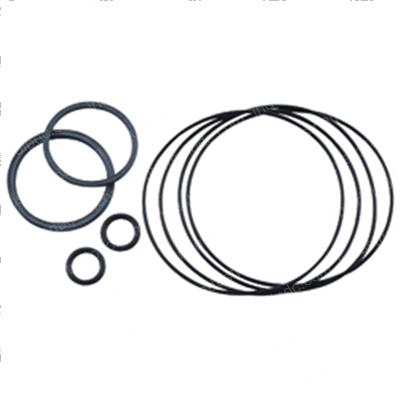 Picture of Seal Kit - Torque Generator