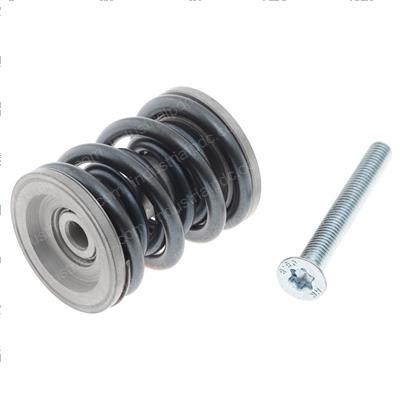 Picture of Spring Kit
