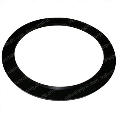 Picture of Seal - Special Piston