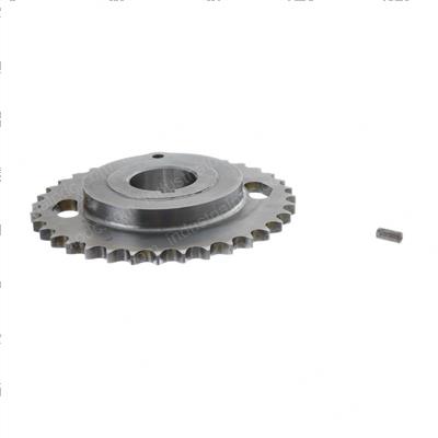 Picture of Gear Camshaft - Timing