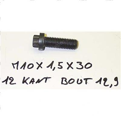Picture of Bolt - 12p Flange