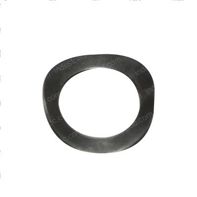 Picture of Washer - Spring