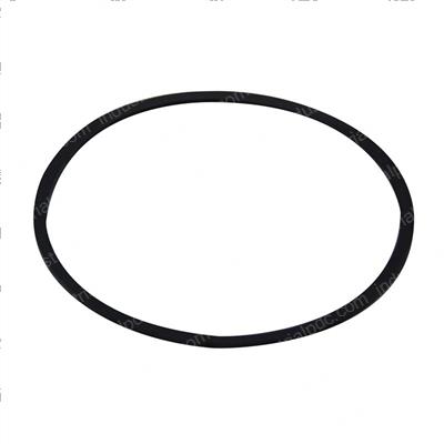 Picture of Ring - Back Up