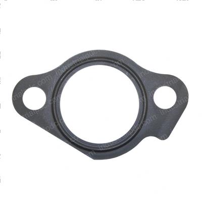 Picture of Gasket Chain Tensio