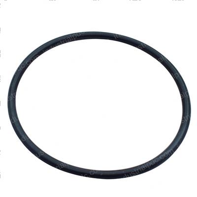Picture of O-Ring