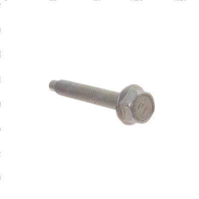 Picture of Bolt - Pulley