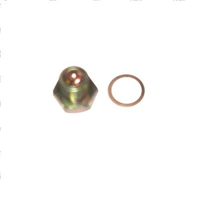 Picture of Drain Plug
