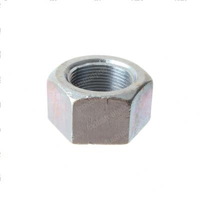 Picture of Nut