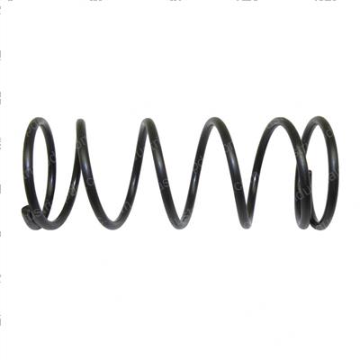Picture of Spring Compression