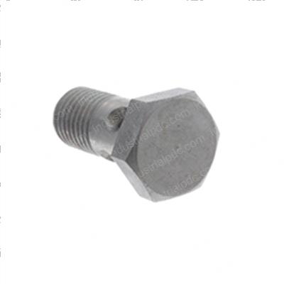 Picture of Bolt - Banjo