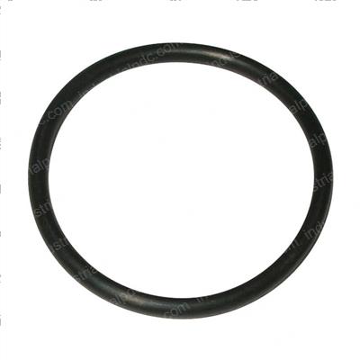 Picture of O-Ring