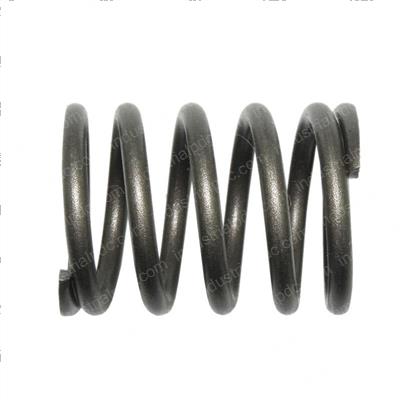 Picture of Spring -Valve