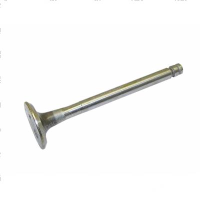 Picture of Valve - Exhaust