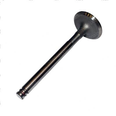 Picture of Valve - Exhaust (2 Groove)