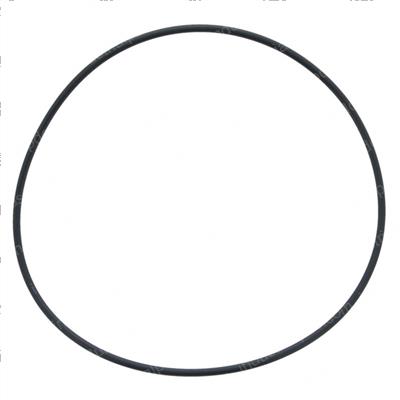 Picture of O-Ring