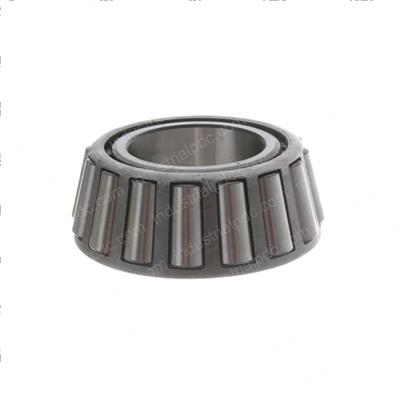 Picture of Cone-Bearing