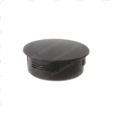 Picture of Plug - Hole