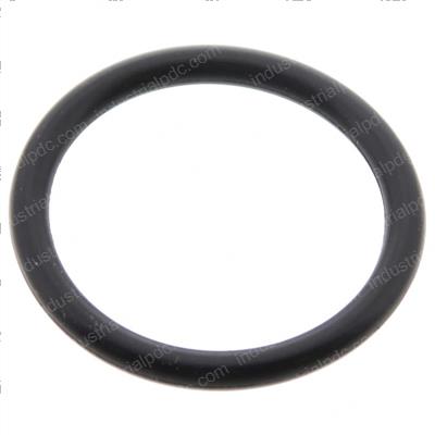 Picture of O-Ring