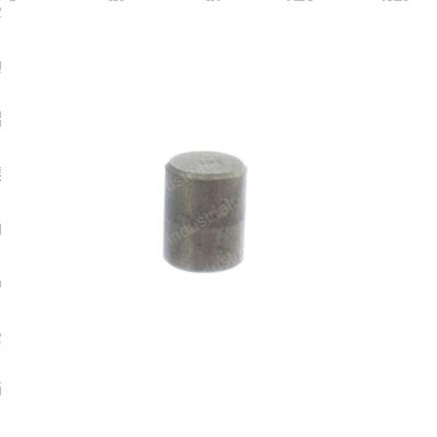 Picture of Pin