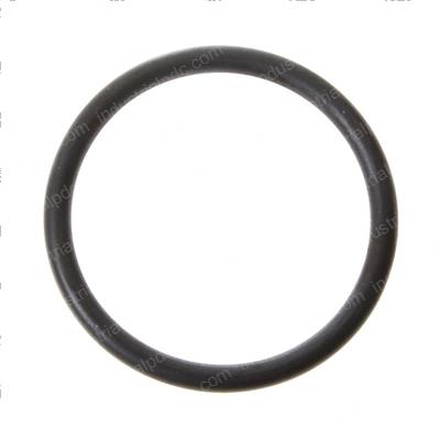 Picture of O-Ring