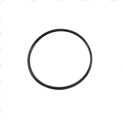 Picture of O-Ring