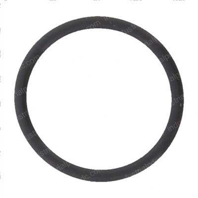 Picture of O-Ring